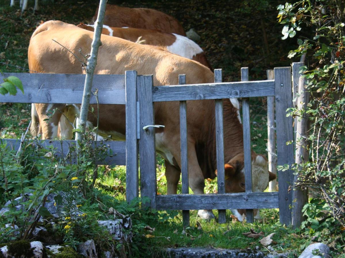 Ferienwohnungen Haus Waldwinkel Aschau im Chiemgau Exteriör bild